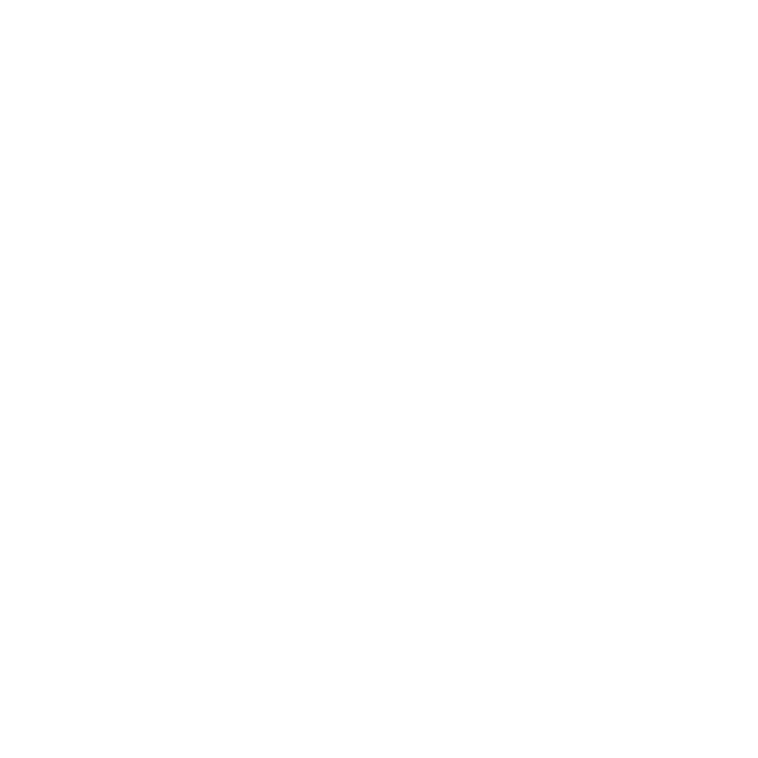 NASA Logo