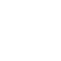 Little Walter Logo